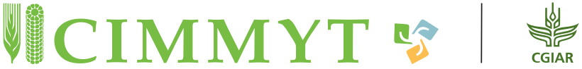CIMMYT