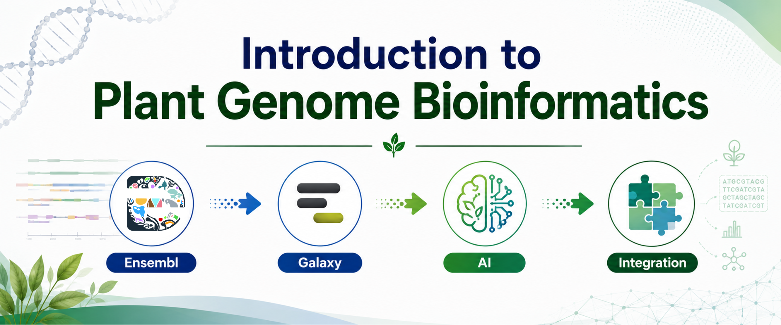 Introduction to Plant Bioinformatics Banner